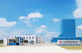 廣東中匯食品股份 引領食品行業創新與發展的先鋒