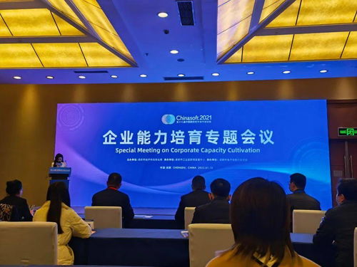 中科大旗榮膺成都市軟件和信息技術(shù)服務(wù)企業(yè)能力成熟度三級證書，彰顯卓越技術(shù)服務(wù)實(shí)力